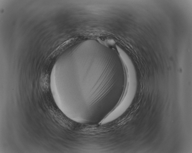 X0000084021156200703161732