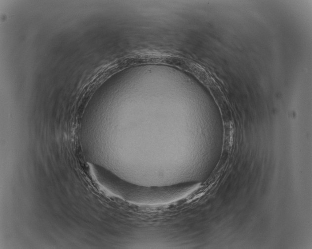 X0000084021157200703161732