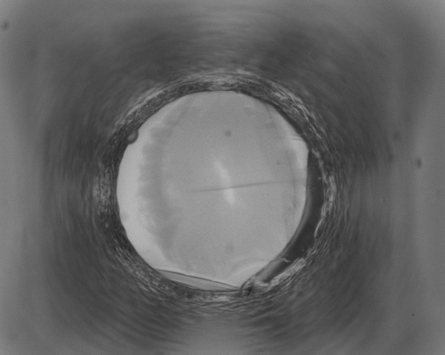 X0000084021158200703161732