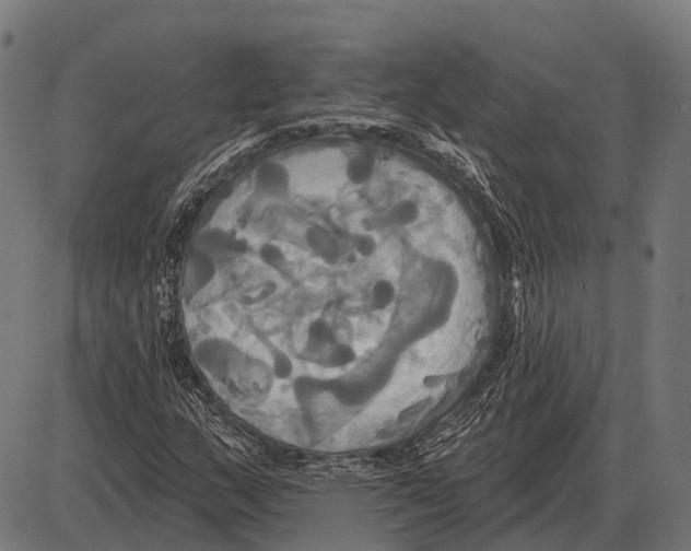 X0000084021159200703161732