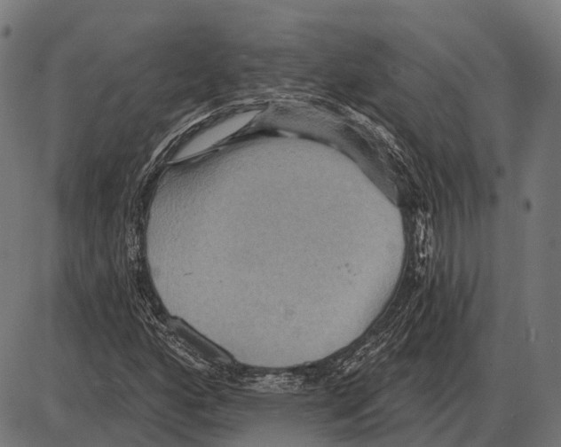 X0000084021160200703161732