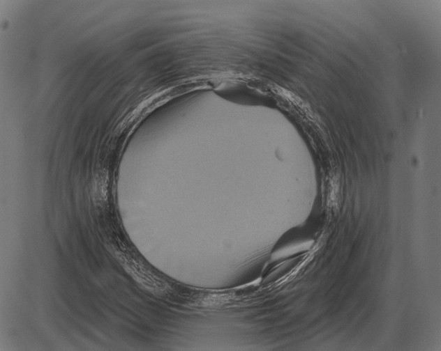 X0000084021161200703161732