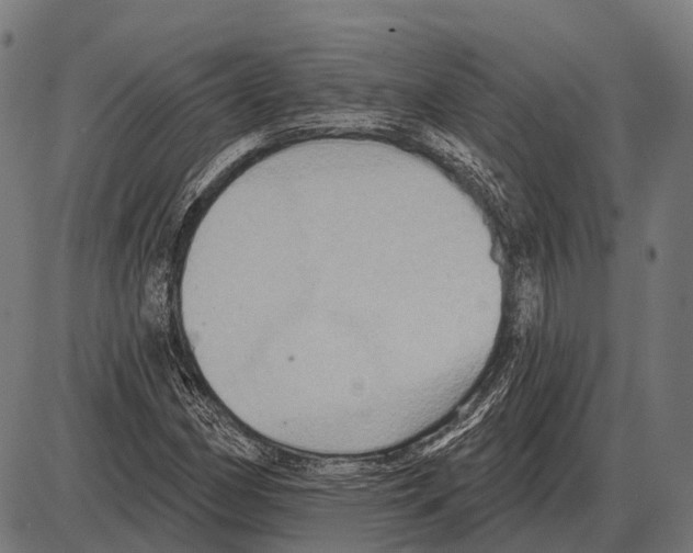 X0000084021162200703161732