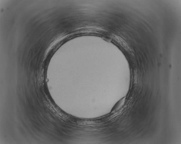 X0000084021164200703161732