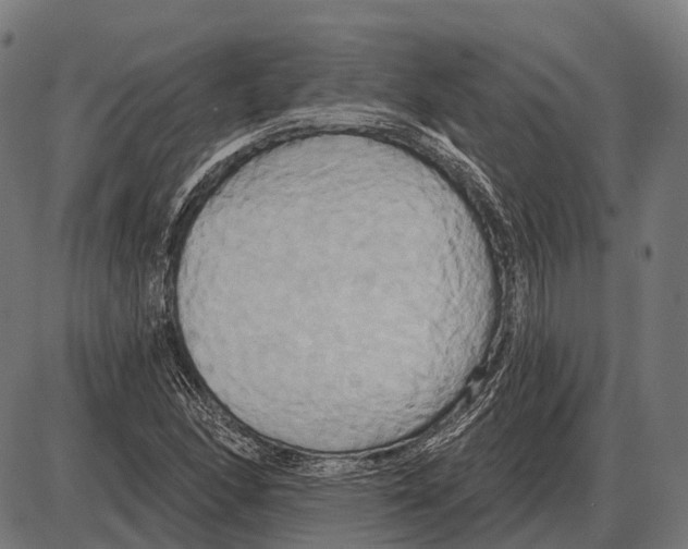 X0000084021166200703161732