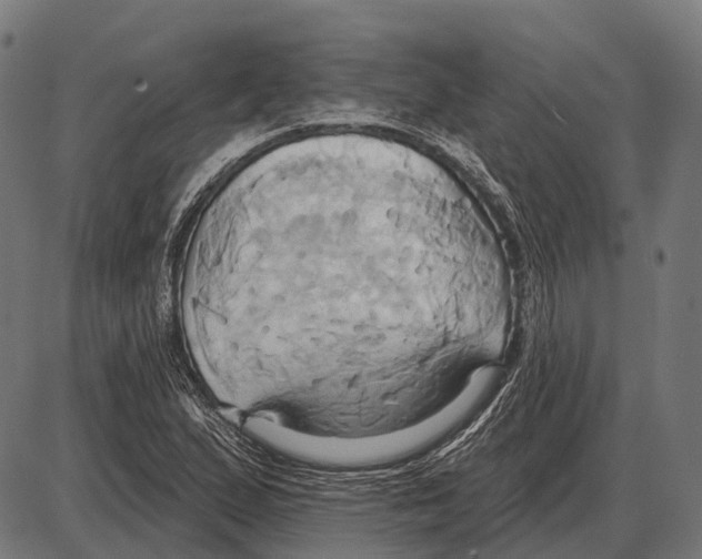 X0000084021167200703161732