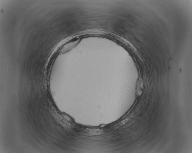 X0000084021168200703161732