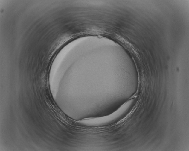 X0000084021170200703161732