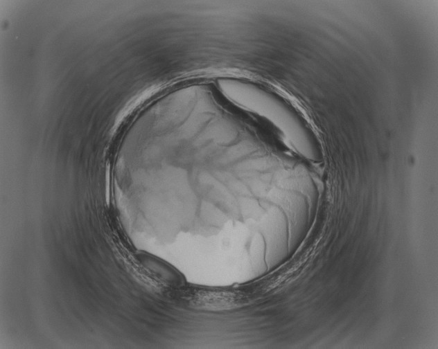 X0000084021171200703161732