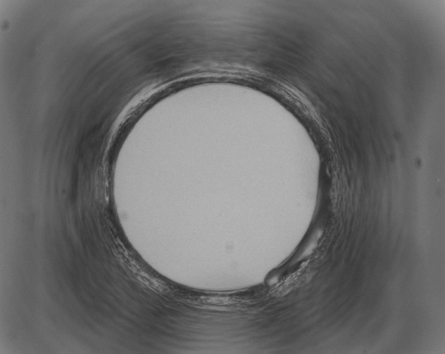 X0000084021172200703161732