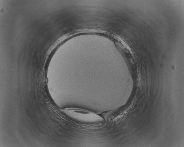 X0000084021173200703161732