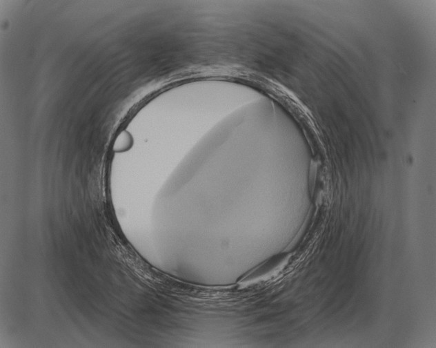 X0000084021174200703161732