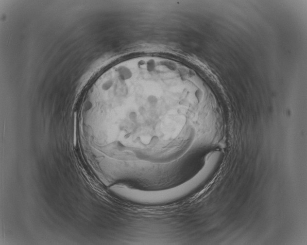 X0000084021175200703161732