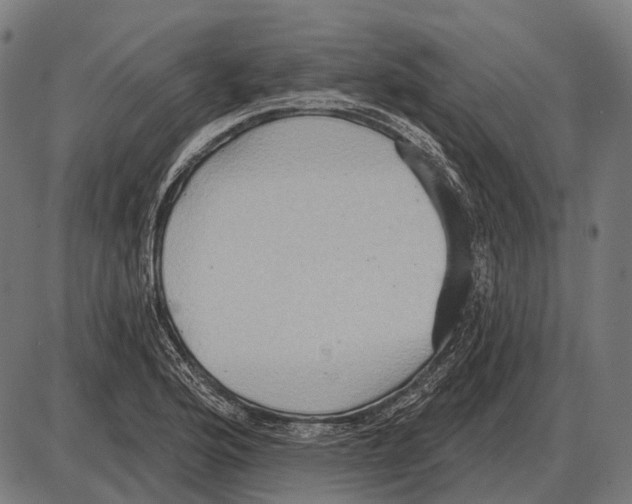 X0000084021176200703161732