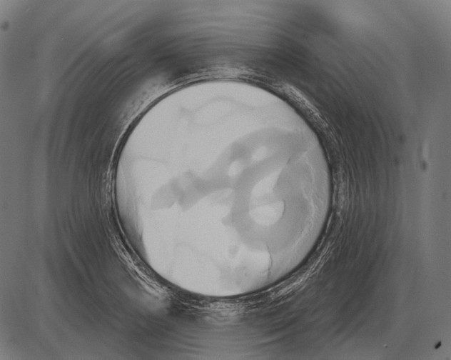 X0000084021178200703161732