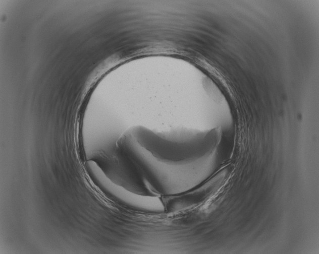 X0000084021179200703161732