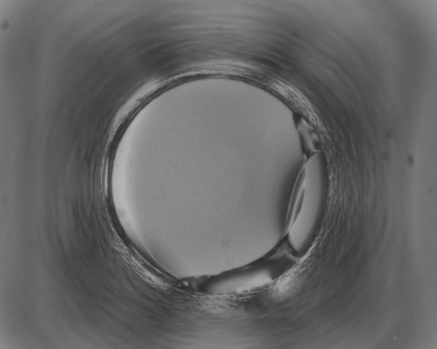 X0000084021180200703161732