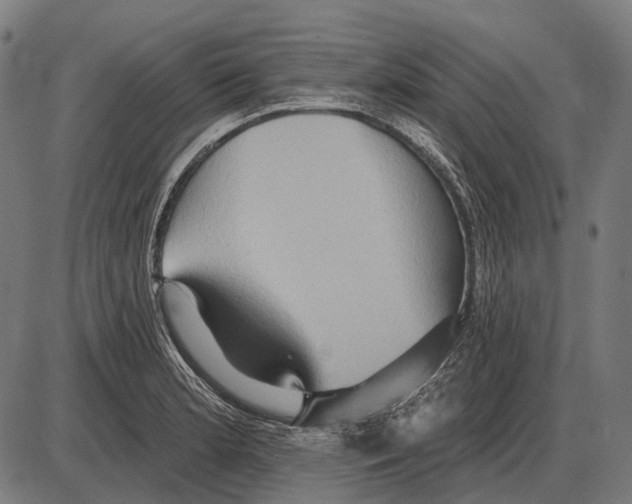 X0000084021181200703161732