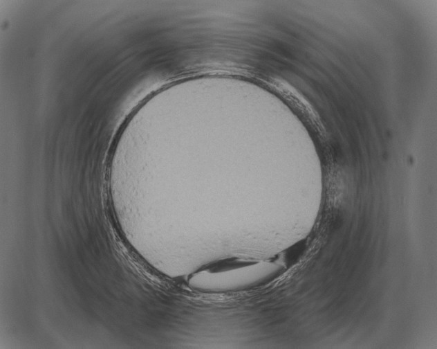 X0000084021182200703161732