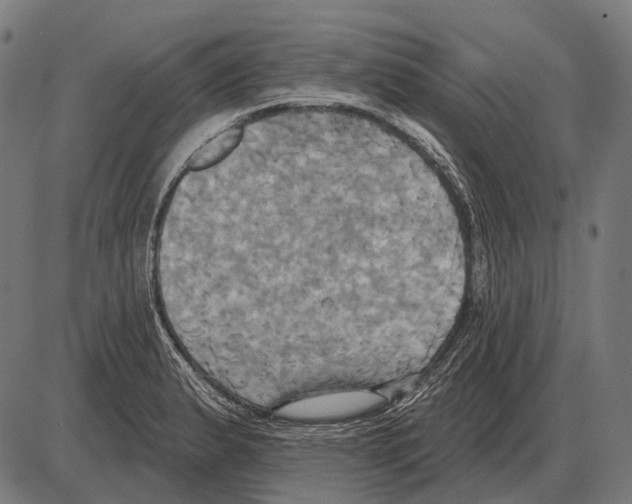 X0000084021183200703161731