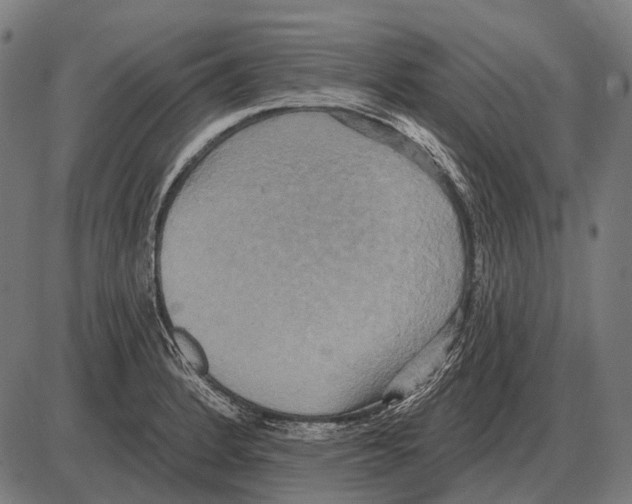 X0000084021184200703161731