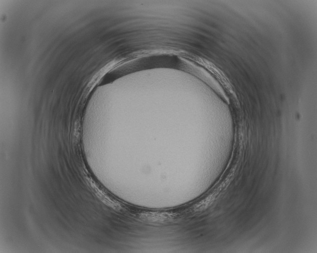 X0000084021185200703161731