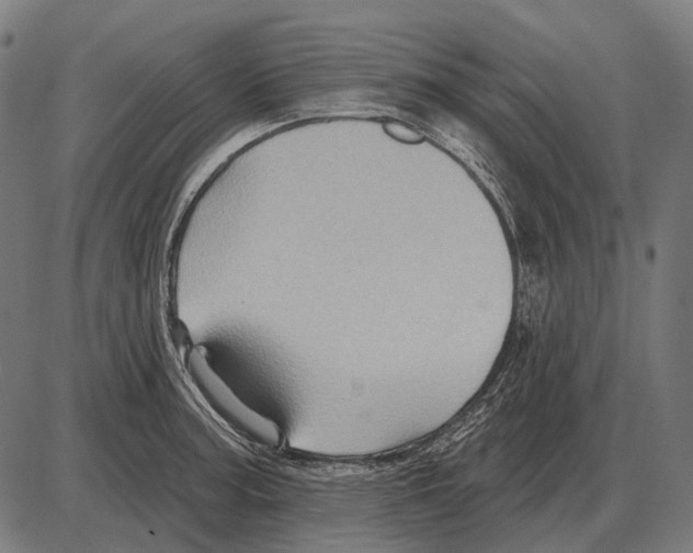 X0000084021187200703161731