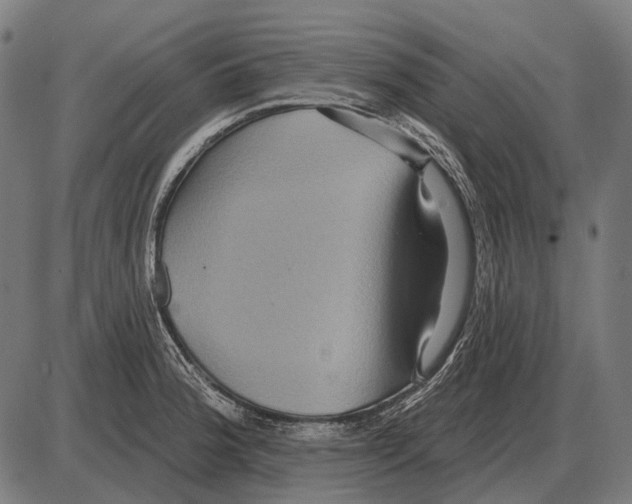 X0000084021188200703161731