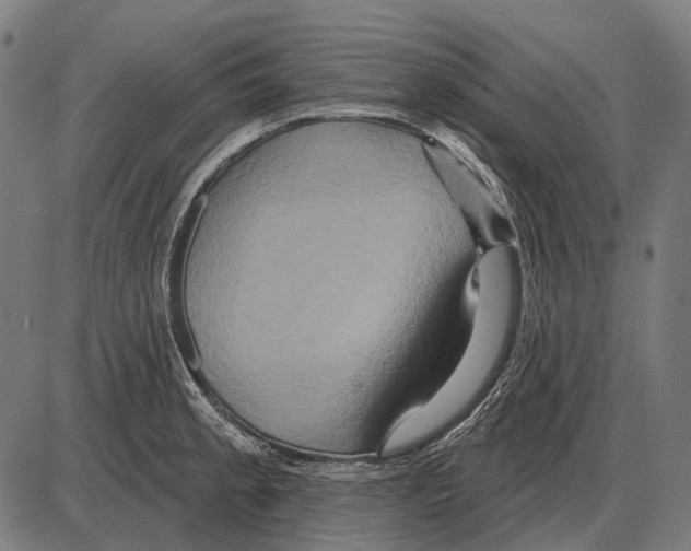 X0000084021189200703161731