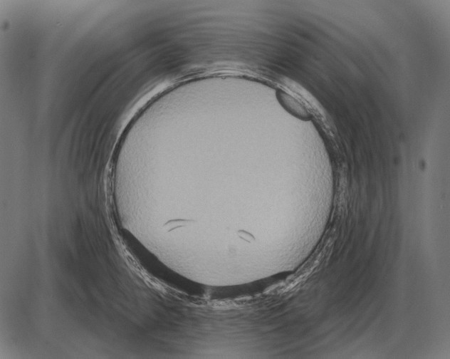 X0000084021190200703161731