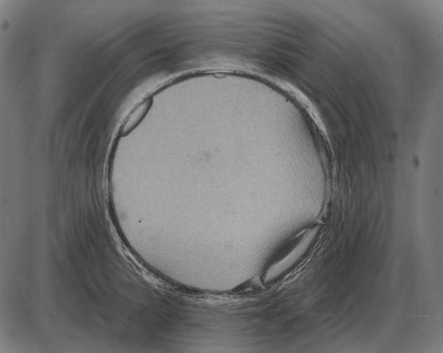 X0000084021191200703161731