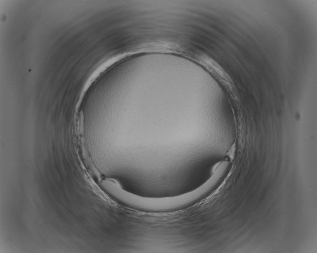 X0000084021192200703161731