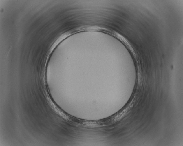 X0000084021194200703161731