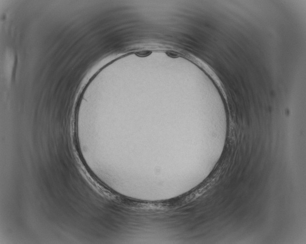 X0000084021195200703161731