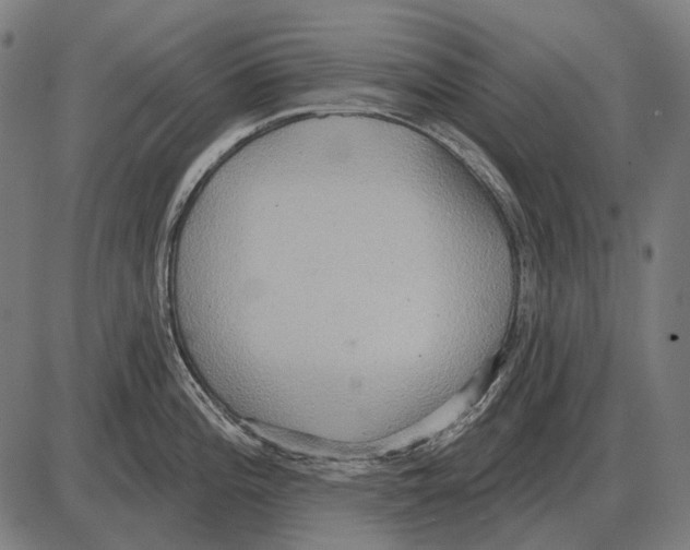 X0000084021196200703161731