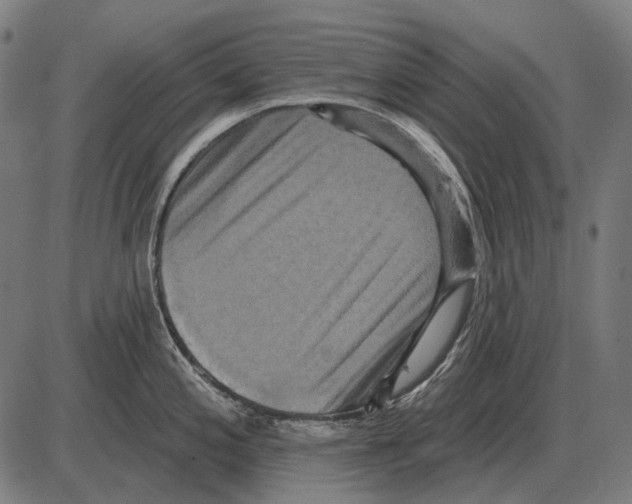 X0000084021197200703161731