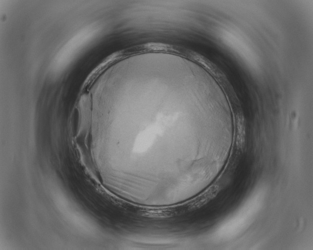 X0000084021198200703161731