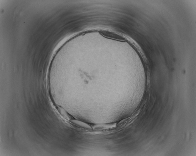 X0000084021199200703161731