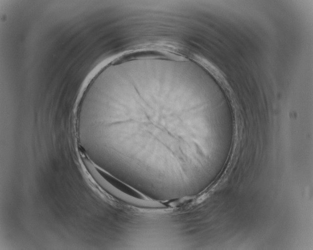 X0000084021200200703161731