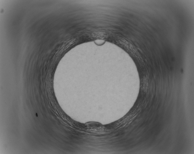 X0000084021201200703161730