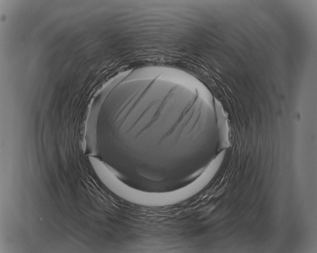 X0000084021202200703161730