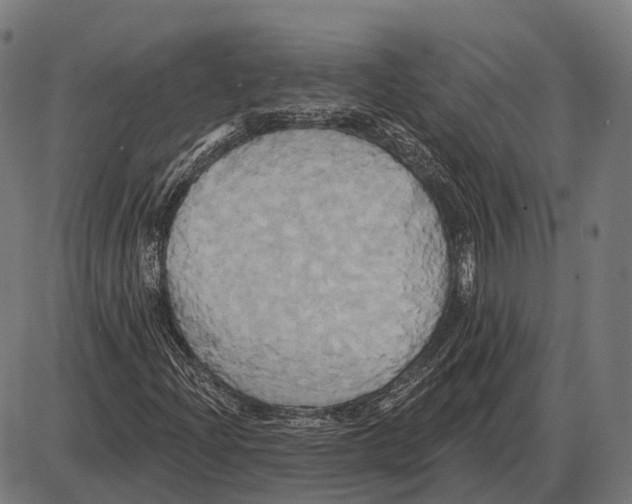 X0000084021204200703161730