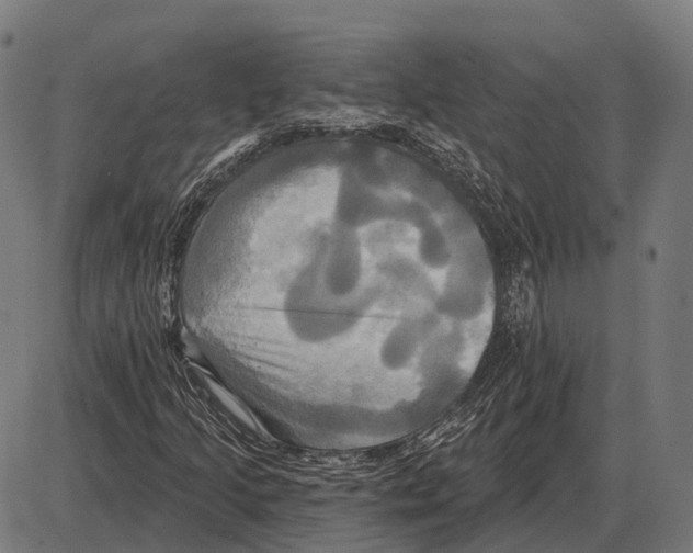 X0000084021205200703161730