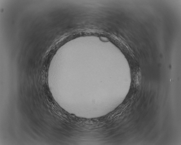 X0000084021207200703161730