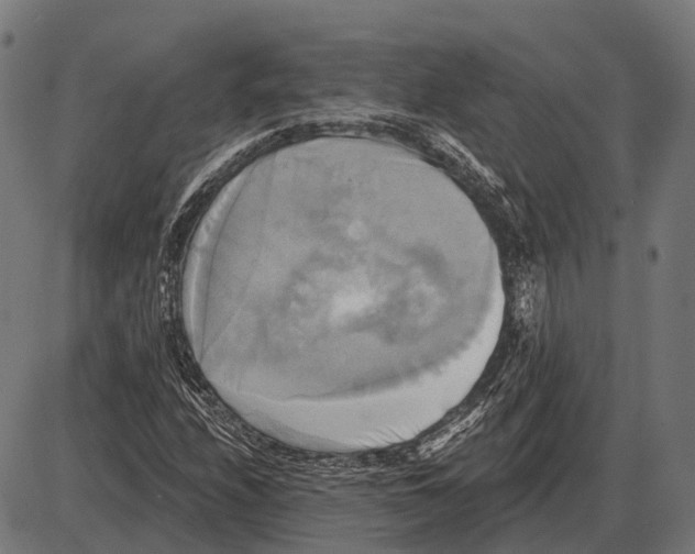 X0000084021208200703161731