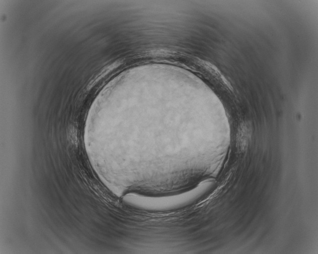 X0000084021209200703161731