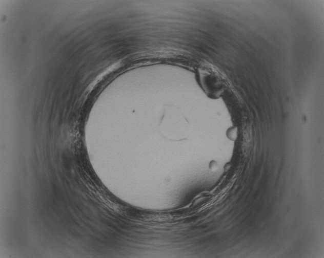 X0000084021210200703161731