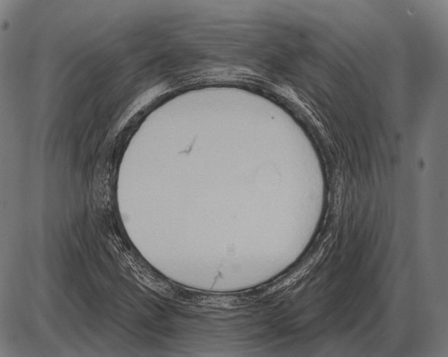 X0000084021211200703161731