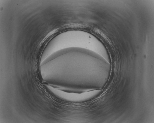 X0000084021213200703161731