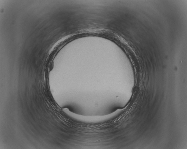 X0000084021214200703161731